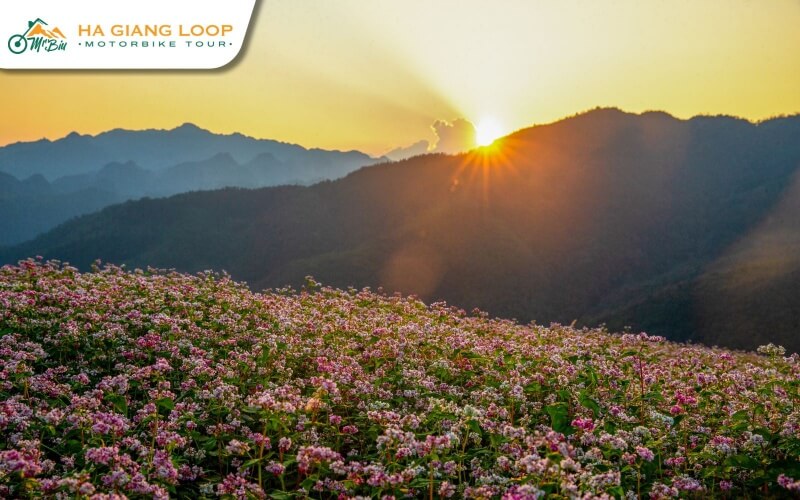 Catching the sunset over Ha Giang’s mountains is a truly enchanting experience